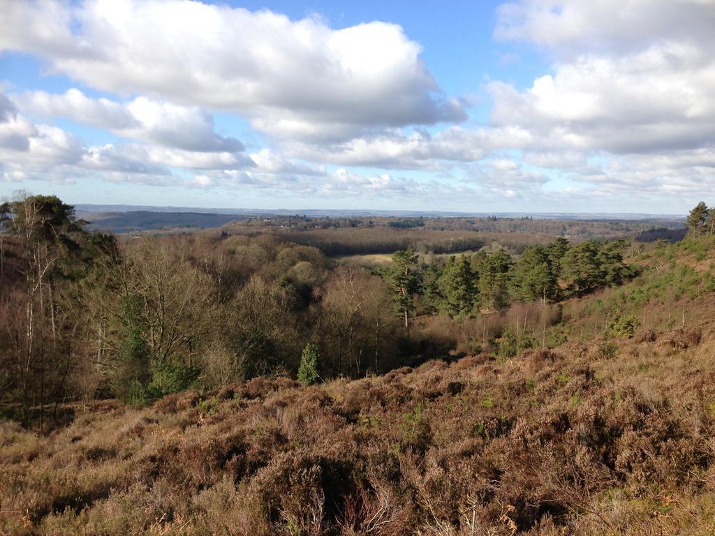 The Old Cook'S House Vila Hindhead Quarto foto